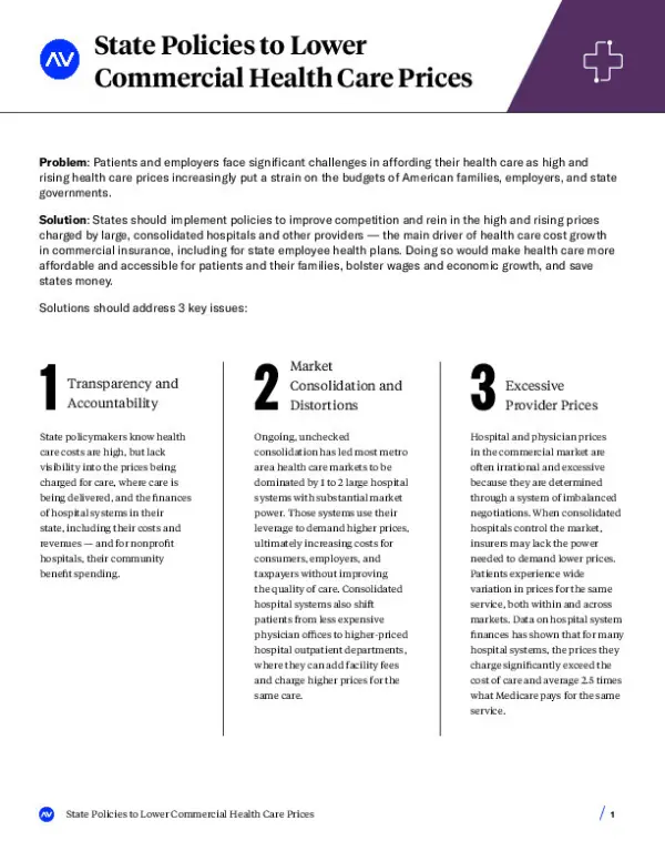 AV HC Brief State Policies CSP