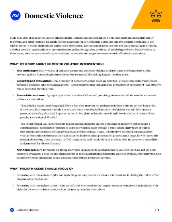 AV Brief CJ Domestic Violence
