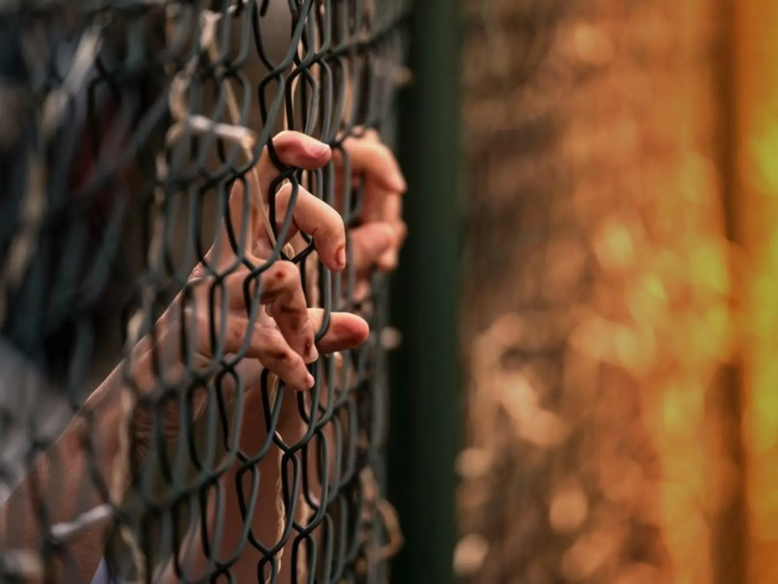 Image of person holding on to chain link fence with sunrise on the other side.