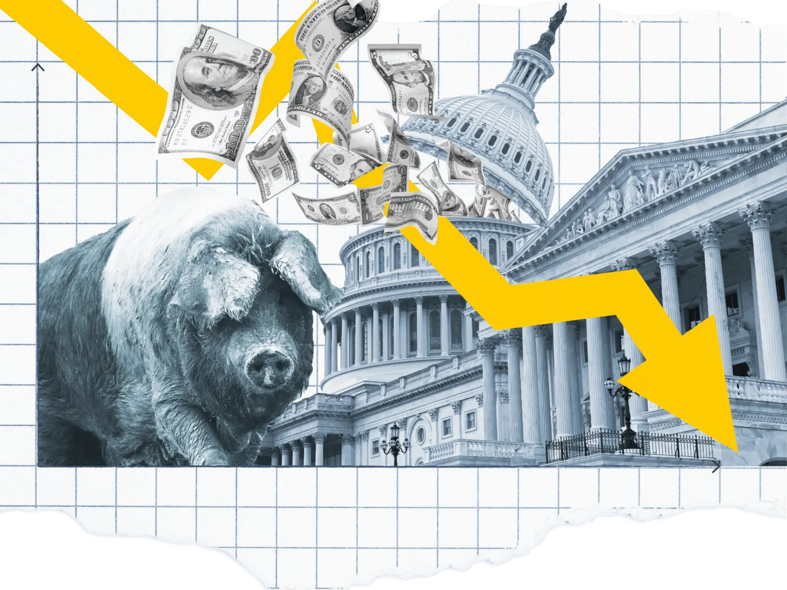 A large gray pig stands against a backdrop of U.S. government buildings, with money streaming down and a yellow downward arrow depicting decline.