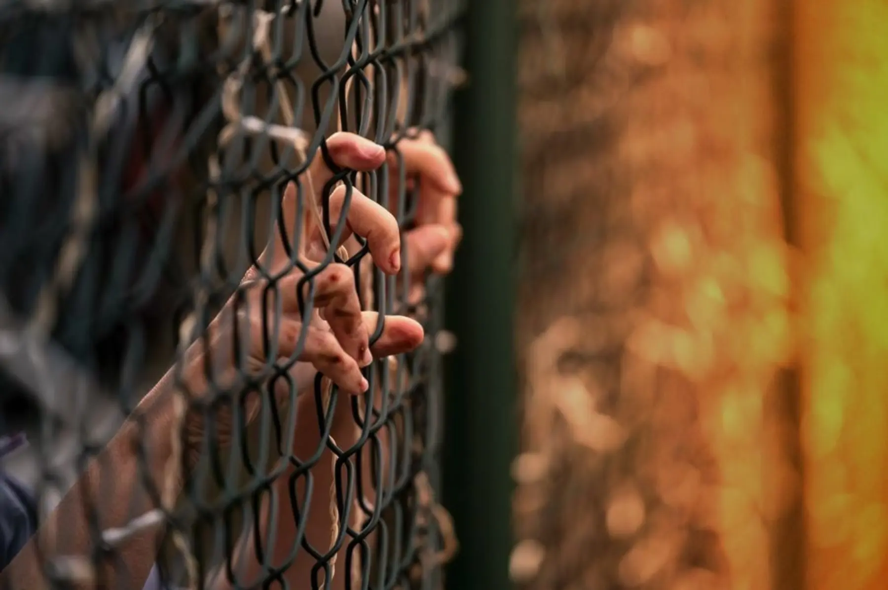 Hands grip a metal fence.