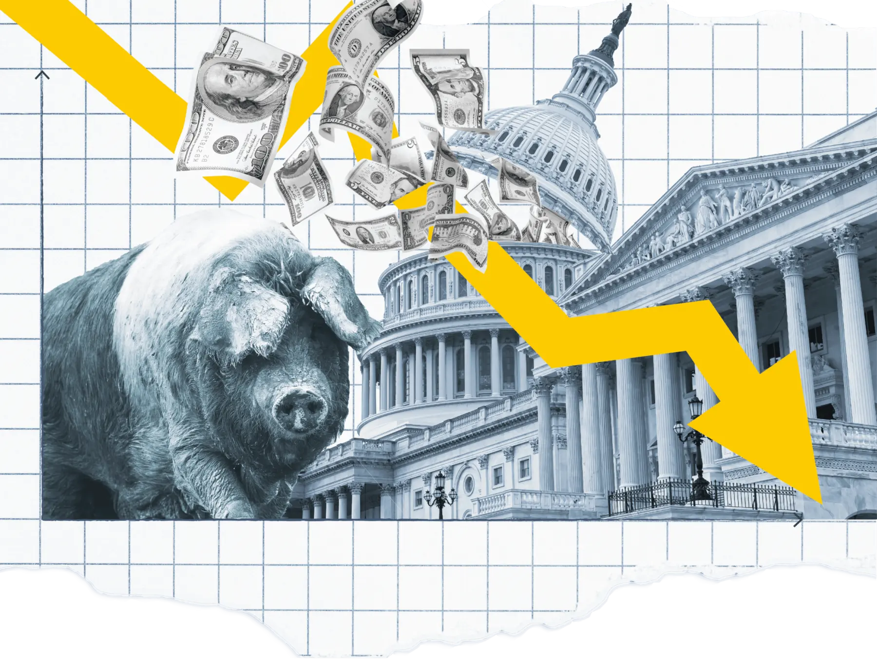 A large gray pig stands against a backdrop of U.S. government buildings, with money streaming down and a yellow downward arrow.