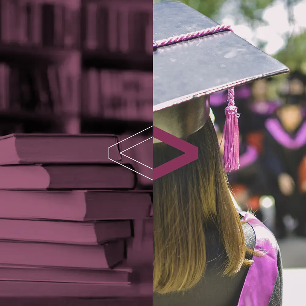 Arnold Ventures Higher Education