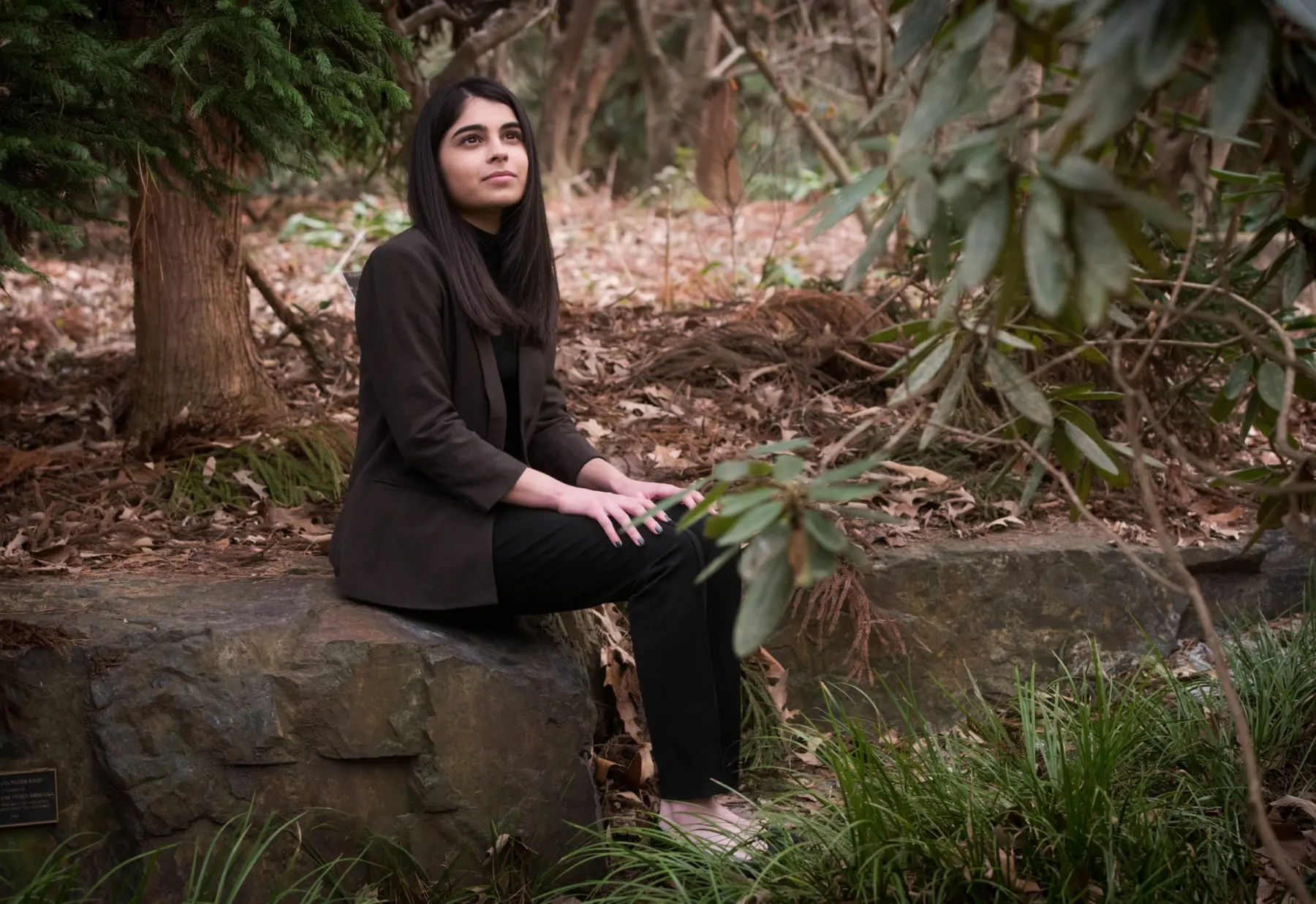 The story subject Sneha Dave sits on a large rock in a wooded area gazing upward.