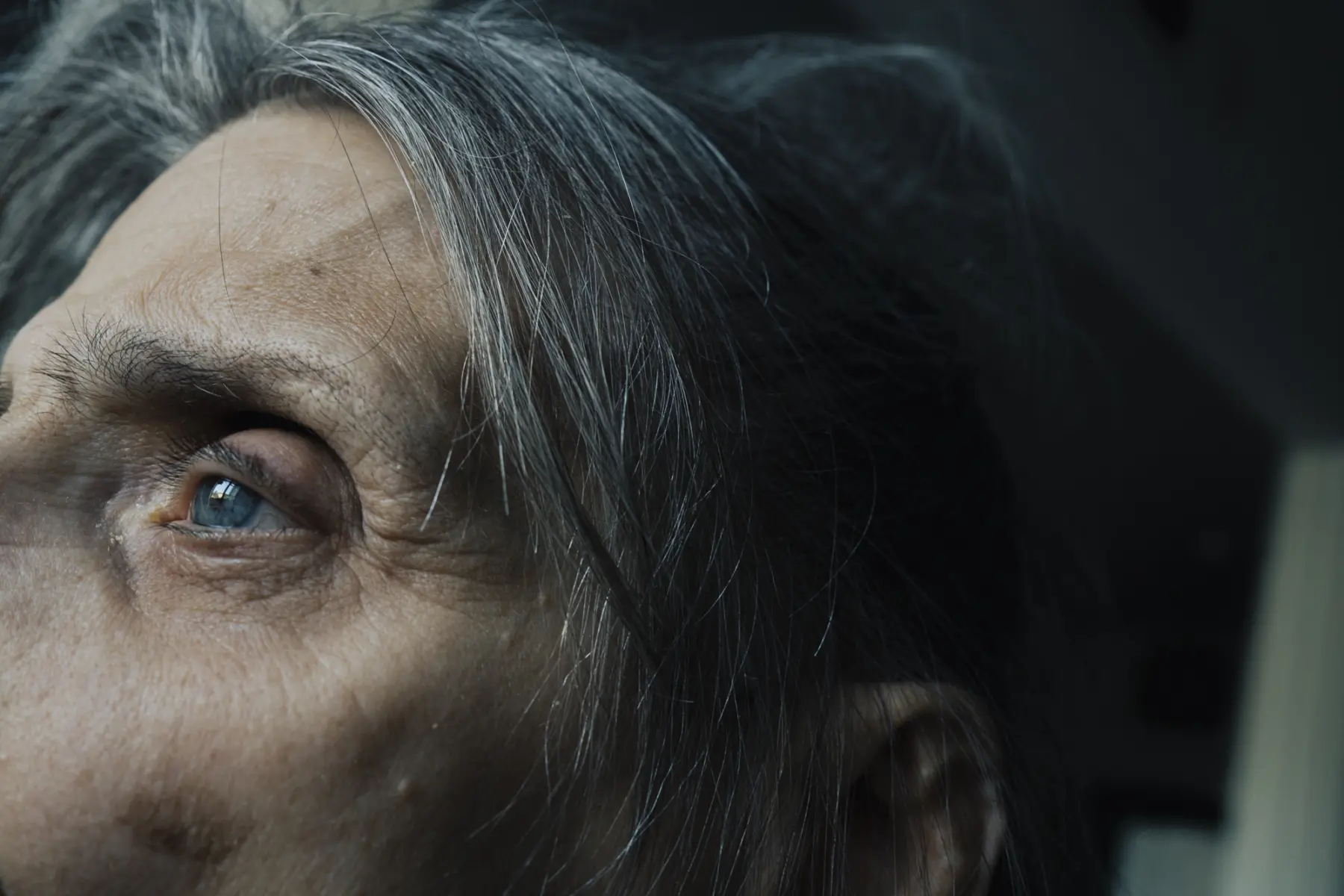 Ann is seen close up on the right side of her face. Her blue eye looks forward, her brow is furrowed and her gray hair falls to each side of her face.